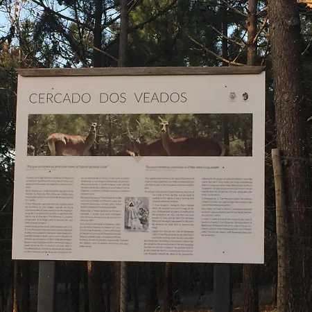 Apartment De Standing *