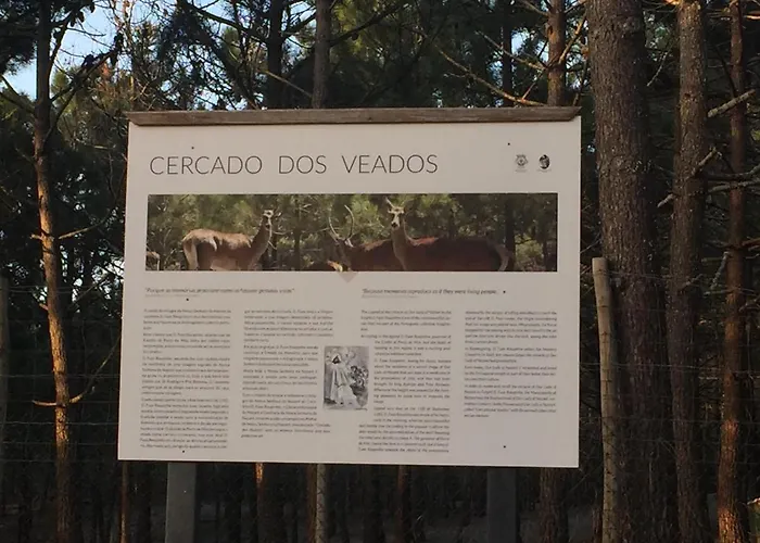 Апартаменты De Standing *